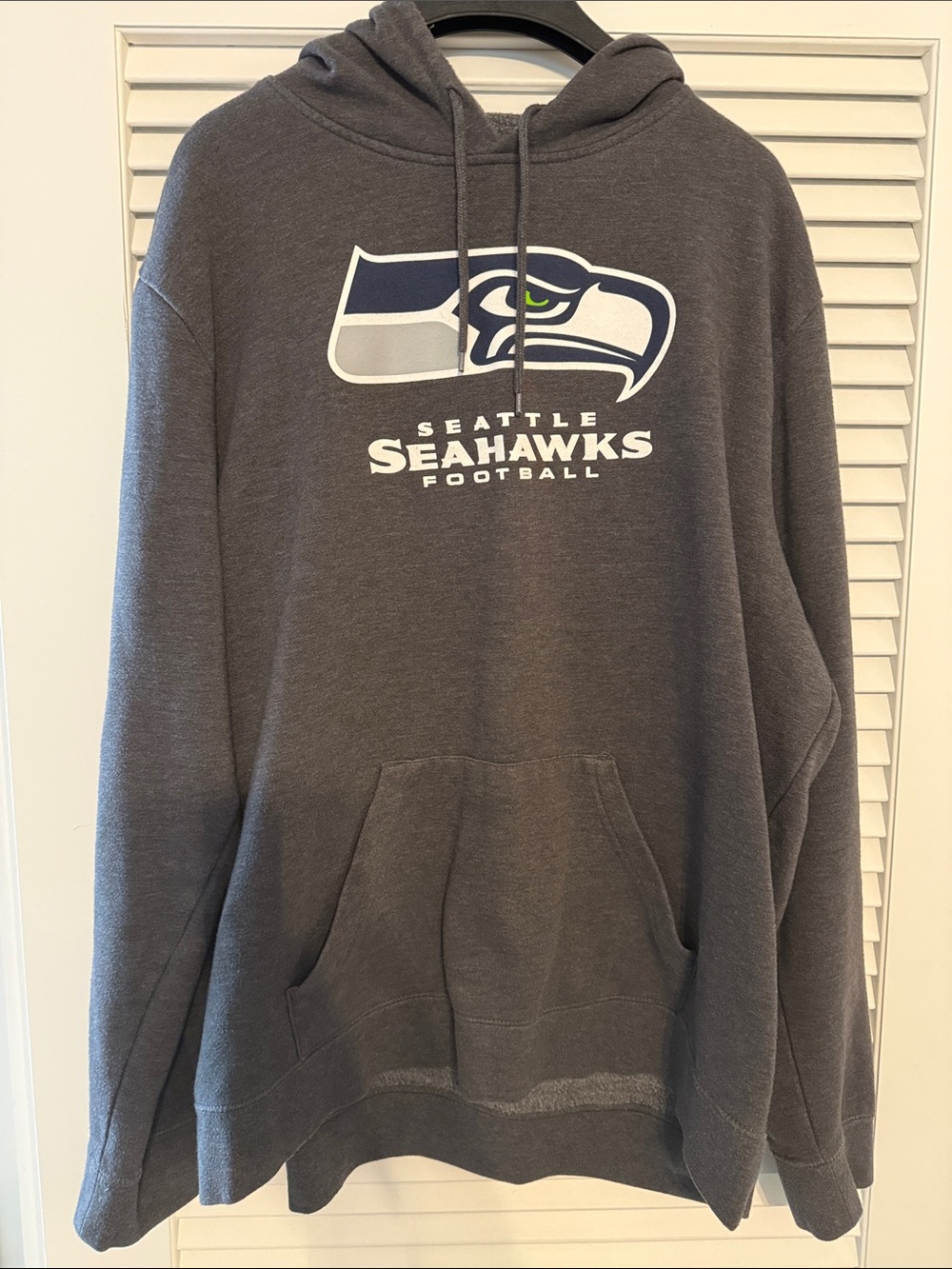 NFL Seattle Seahawks Gray Pullover Hoodie with Team Logo